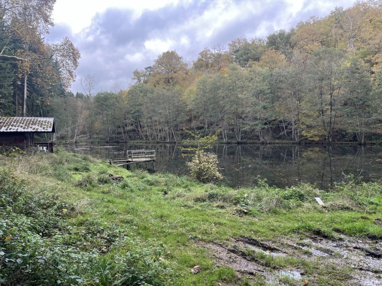 Couleurs Royales et Cuisses qui Chantent