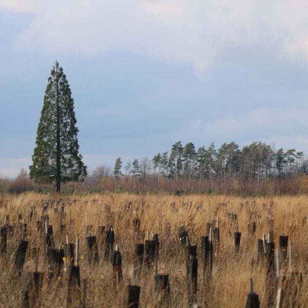 Randonnée à Naninne