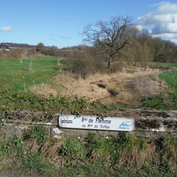 Havelange 01 mars 2026