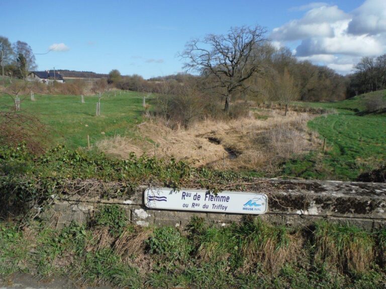 Havelange 01 mars 2026