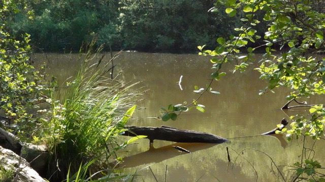 Rando du CAB Namur-Luxembourg à Huy : Des Sommets, de l’Ail et quelques Distractions !