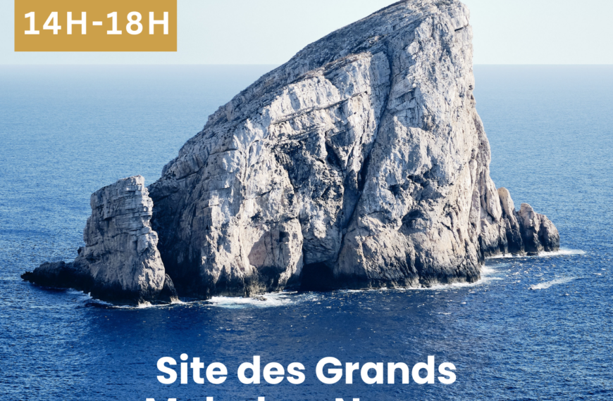 ROC BOYARD : jeux et épreuves sur rocher en équipes